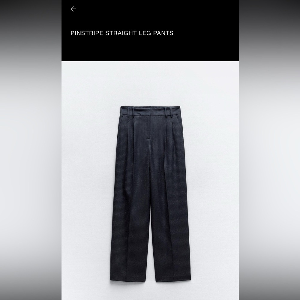 Zara - Navy Blue Pinstriped Pleated Straight Leg Pants - Picture 11 of 11